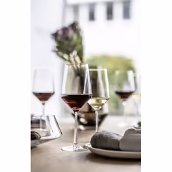 SCHOTT ZWIESEL Verre à vin blanc pour riesling Pure