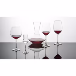 SCHOTT ZWIESEL Verre à grappa Bar Special