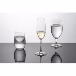 SCHOTT ZWIESEL 123931 verre à eau Transparent 4 pièce(s) 557 ml