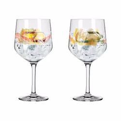 Ritzenhoff 3791001 Verre à cocktail Verre de Gin et Tonic