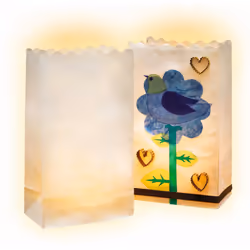 Folia 11900 sac en papier Transparent