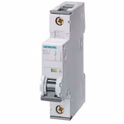 Informations techniques IP20, avec conducteurs connectés Informations techniques Capacité de coupure : 5 kA Caractéristiques ...