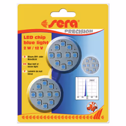 sera 31157