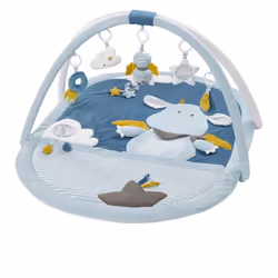 Fehn 065091, Tapis de jeux pour bébé, Barre d'activités, Sonore, Multicolore