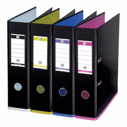 Oxford 100023639, 570 feuilles, Noir, Bleu, Gris, Rose, Jaune, Polypropylène (PP), A4, 8 cm, 290 mm