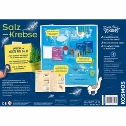 Kosmos 63326 coffret de sciences pour enfant