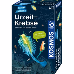 Kosmos 65787, Réalité augmentée, 8 an(s), Multicolore