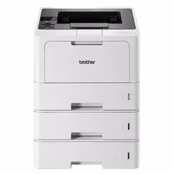 Brother HL-L5210DNTT, Laser, 1200 x 1200 DPI, A4, 48 ppm, Impression recto-verso, Noir, Blanc