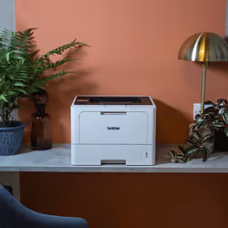 Brother HL-L5210DWT imprimante laser 1200 x 1200 DPI A4 Wifi - Vue supplémentaire 4