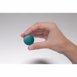 MAUL Solid aimant pour réfrigérateur Plastique Vert 10 pièce(s)