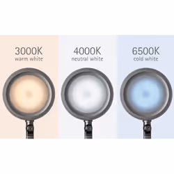 MAUL 8205095 lampe de table LED Argent - Vue supplémentaire 4