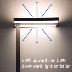 MAUL 8258795 éclairage au sol 80 W LED Acier inoxydable