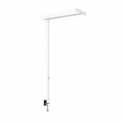 MAUL MAULjuvis, Blanc, Aluminium, I, 3 ampoule(s), LED, 4000 K