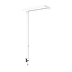 MAUL MAULjuvis lampe de table LED C Blanc