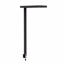 MAUL MAULjuvis, Noir, Aluminium, I, 3 ampoule(s), LED, 4000 K