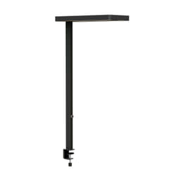 MAUL MAULjuvis lampe de table LED C Noir