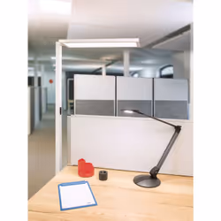 MAUL MAULsenja éclairage au sol LED C
