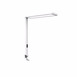 MAUL MAULsenja, Blanc, Aluminium, I, 2 ampoule(s), LED, 2700 K