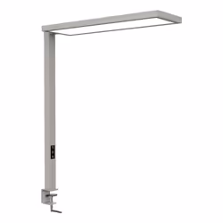 MAUL MAULsenja, Argent, Aluminium, I, 2 ampoule(s), LED, 2700 K