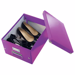 Leitz Boîte de rangement Click & Store