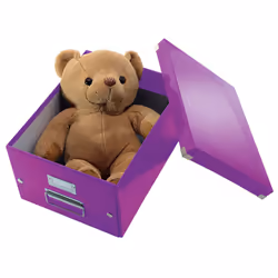 Leitz Boîte de rangement Click & Store - Vue supplémentaire 4