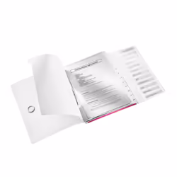 Leitz WOW Polypropylène (PP) Métallique, Rose