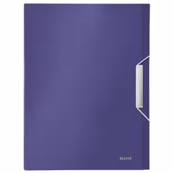 Leitz 39560069 boîte à archive 250 feuilles Violet Polypropylène (PP)
