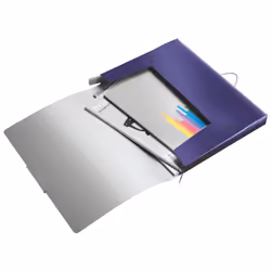 Leitz 39560069 boîte à archive 250 feuilles Violet Polypropylène (PP)