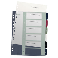 Leitz 12360000 intercalaire de classement