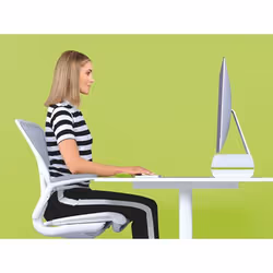 Leitz 65040054 support d'écran plat pour bureau 27" Vert, Blanc