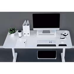 Esselte Ergo WOW repose-poignet Noir