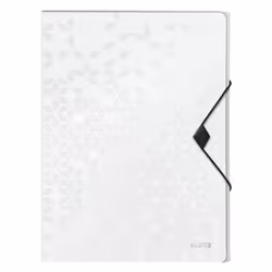 Leitz WOW boîte à archive 250 feuilles Blanc Polypropylène (PP)