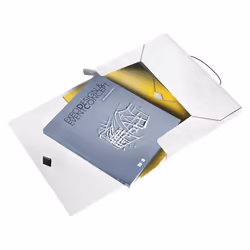 Leitz WOW boîte à archive 250 feuilles Blanc Polypropylène (PP)