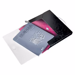 Leitz WOW boîte à archive 250 feuilles Noir Polypropylène (PP)