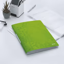 Leitz 46320054 protège-documents de présentation 40 pochettes 40 feuilles A4