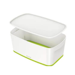 Leitz 52291054 Boîte de rangement Rectangulaire Synthétique ABS Vert, Blanc