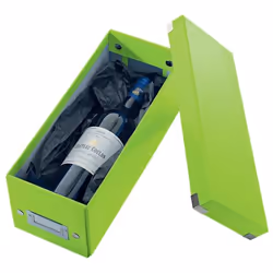 Leitz 60410054 Boîte à archives Carton Vert