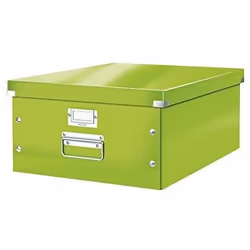 Boîte de rangement - LEITZ - Click & Store - Grande taille - Vert - Métal