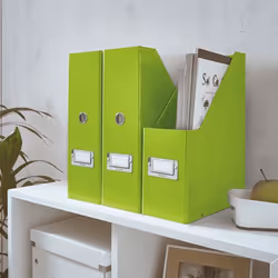Leitz Click & Store porte-magazines Polypropylène (PP) Vert