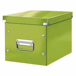 Boîte de rangement - LEITZ - Cube de rangement moyen - Vert - Métal - Click & Store