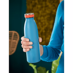Leitz Insulated Utilisation quotidienne 500 ml Acier inoxydable Bleu