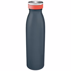 Leitz Insulated, 500 ml, Utilisation quotidienne, Noir, Acier inoxydable, Adulte, Homme/femme