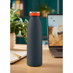 Leitz Insulated Utilisation quotidienne 500 ml Acier inoxydable Noir
