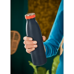 Leitz Insulated Utilisation quotidienne 500 ml Acier inoxydable Noir