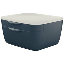 Leitz 53570089 bac de rangement de bureau Polystyrène Noir, Blanc