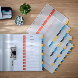 Leitz 12490000 intercalaire de classement Onglet avec index numérique Polypropylène (PP)