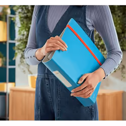 Leitz 10390061 classeur à anneaux A4 Bleu