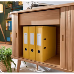 Leitz 10610019 classeur à anneaux A4 Jaune