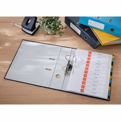 Leitz 10610089 classeur à anneaux A4 Noir