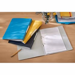 Leitz 42380061 classeur à anneaux A4 Bleu